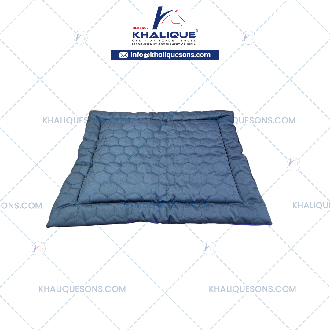 Dog Accessories Exporter In Korea