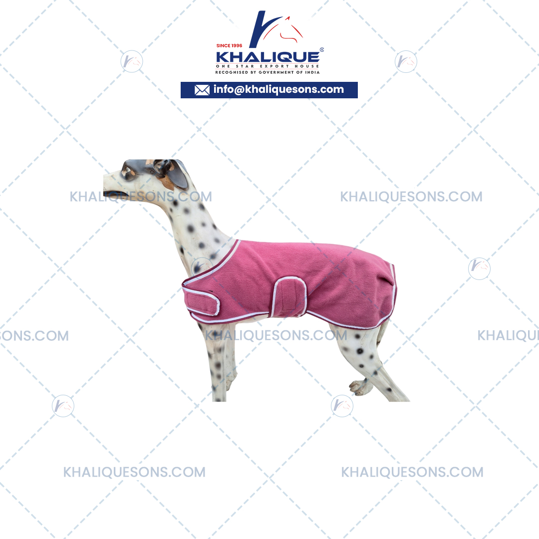 Dog Accessories Exporter In Korea