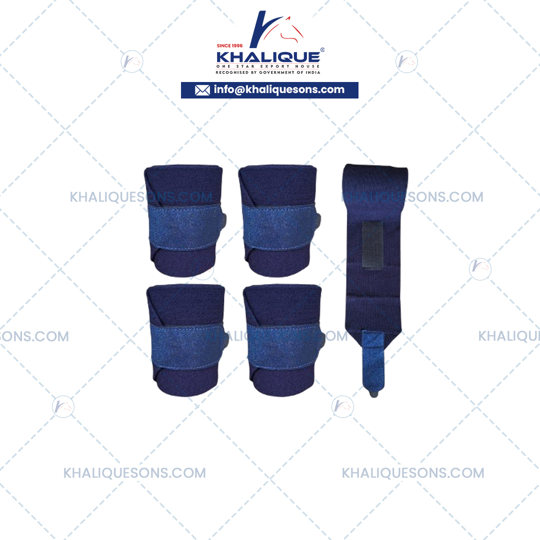 Dog Accessories Exporter In Korea