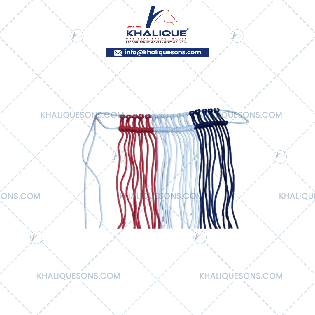 Dog Accessories Exporter In Korea