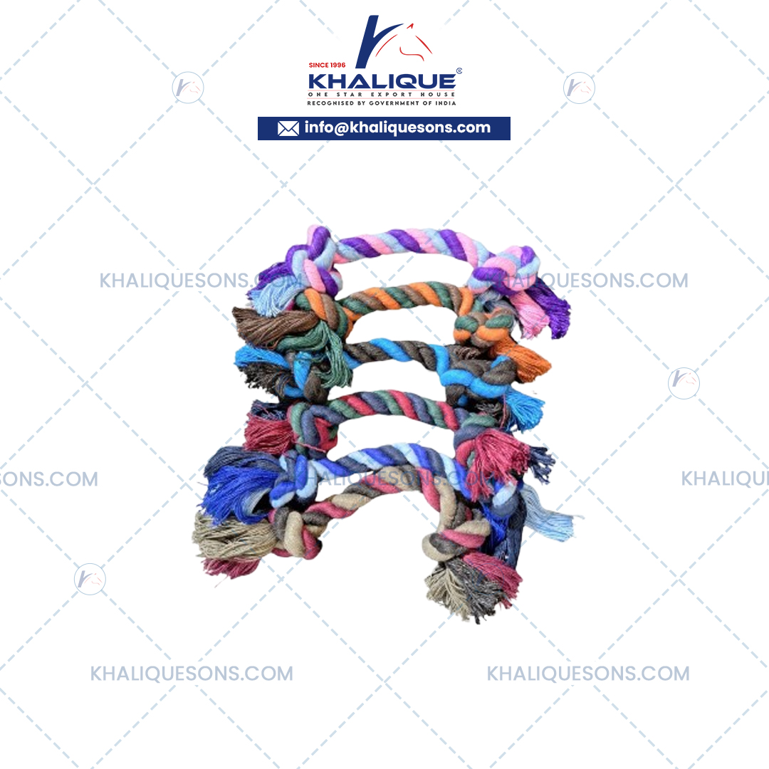 Dog Accessories Exporter In Korea