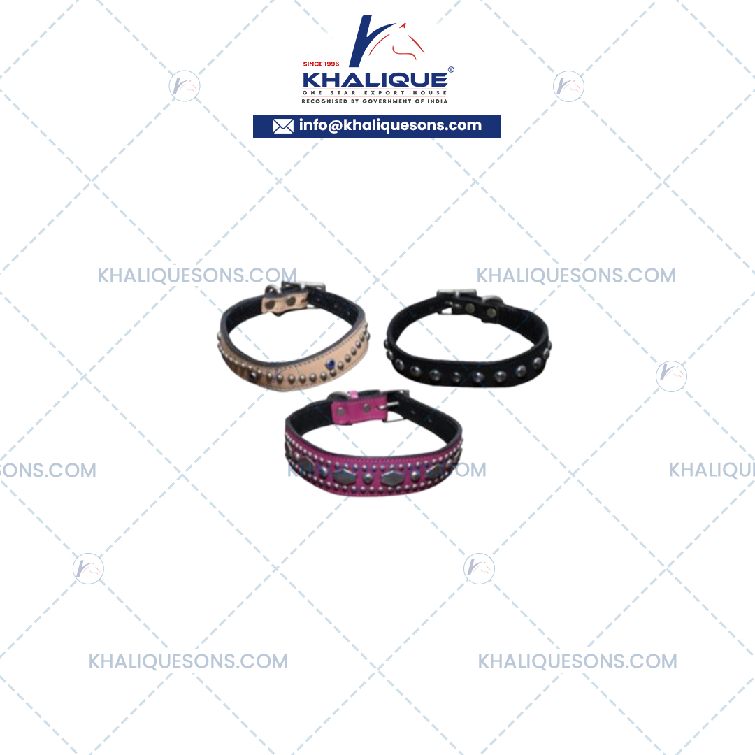 Dog Accessories Exporter In Korea