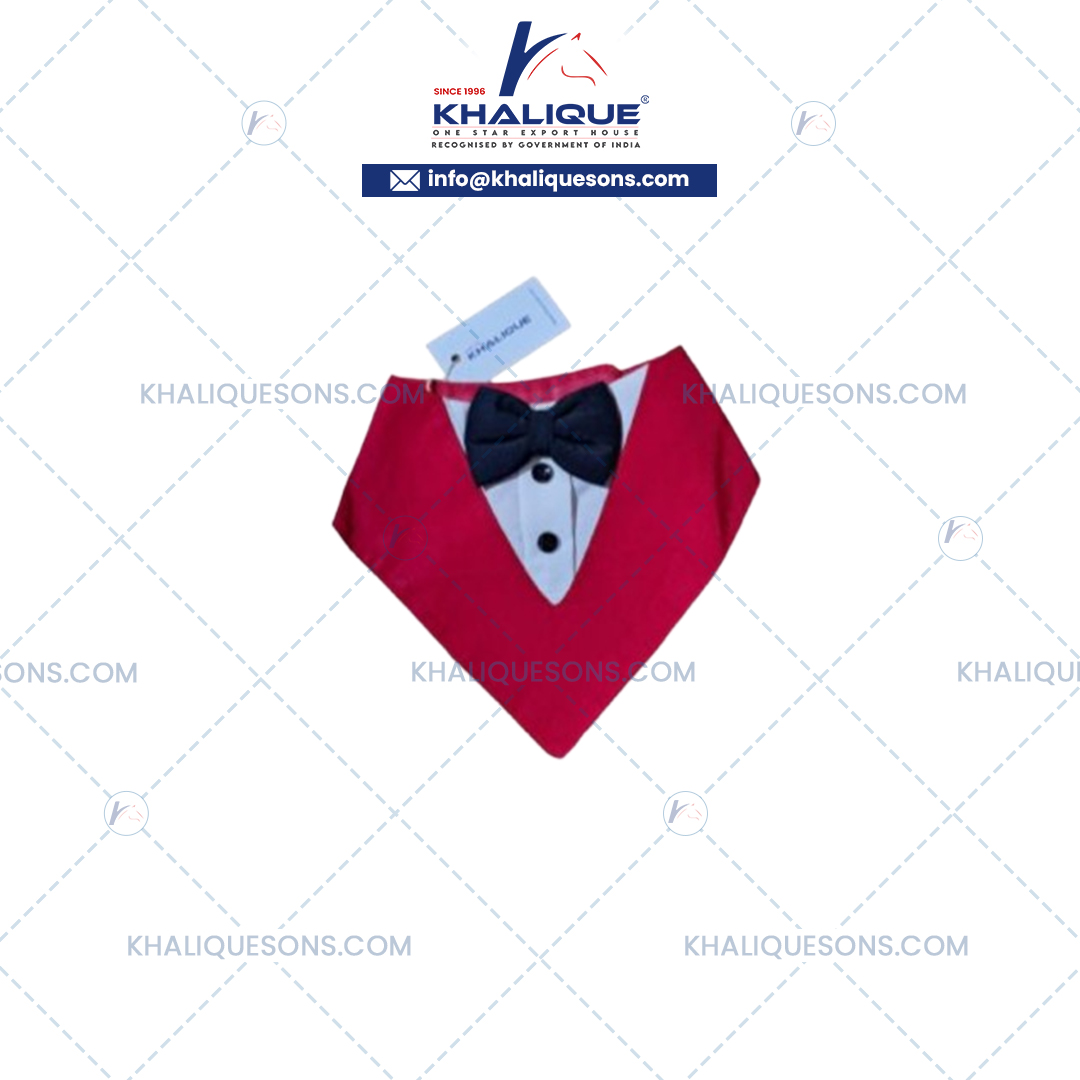 Dog Accessories Exporter In Korea