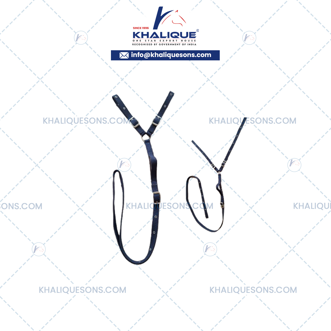 Horse Tack Exporter In Korea