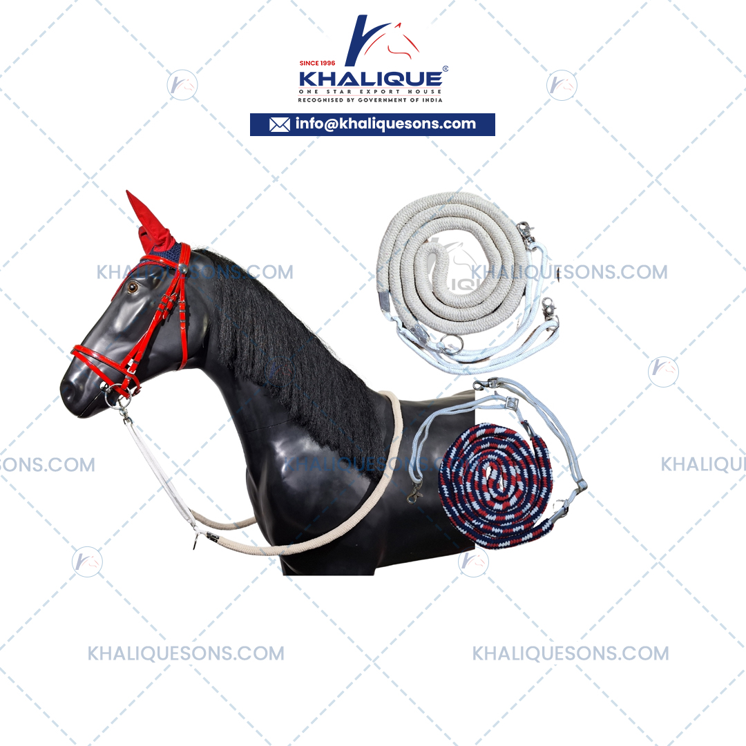 Horse Tack Exporter In Korea
