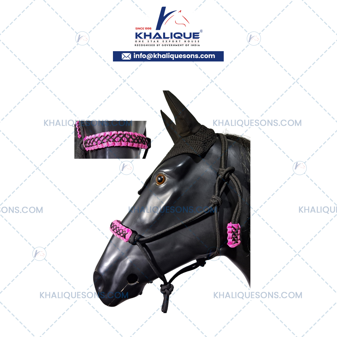 Horse Tack Exporter In Korea