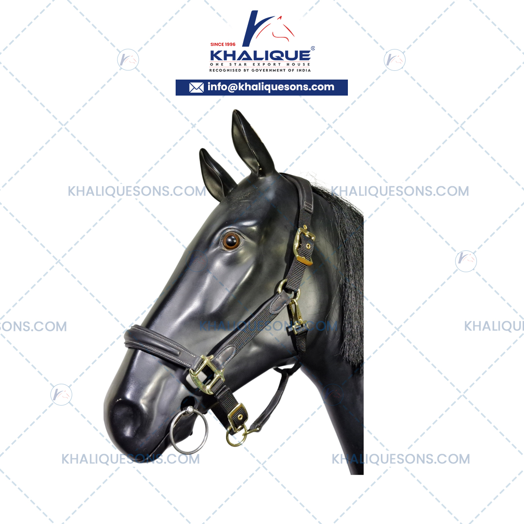 Horse Leather Headcollar Exporter In Korea