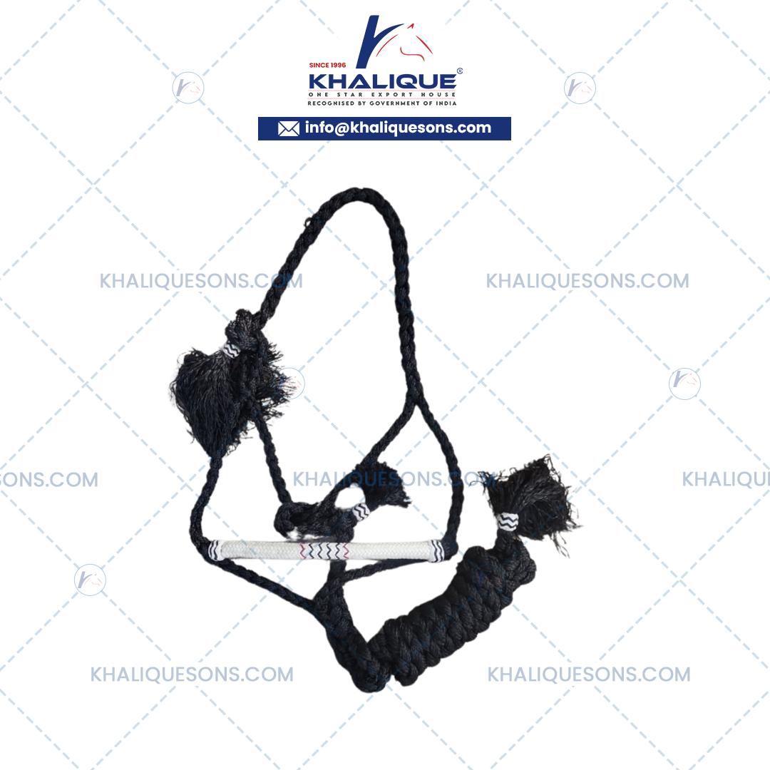 Horse Halters Exporter In Korea