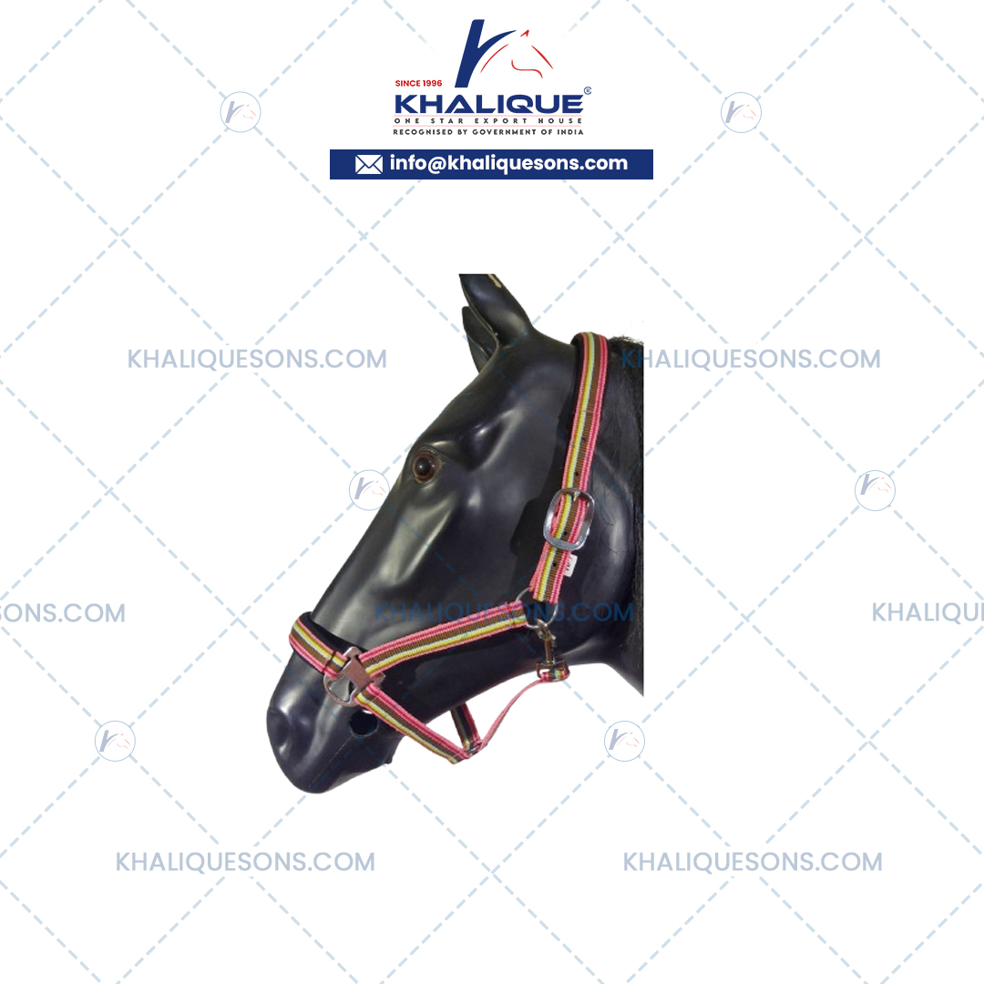 Horse Halters Exporter In Korea