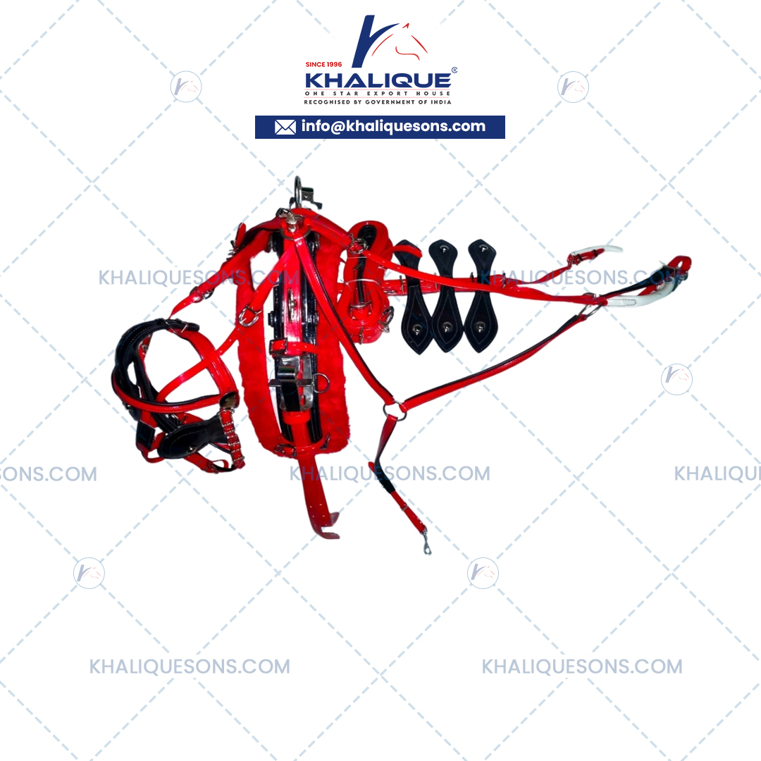 Horse Harness Set Exporter In Korea