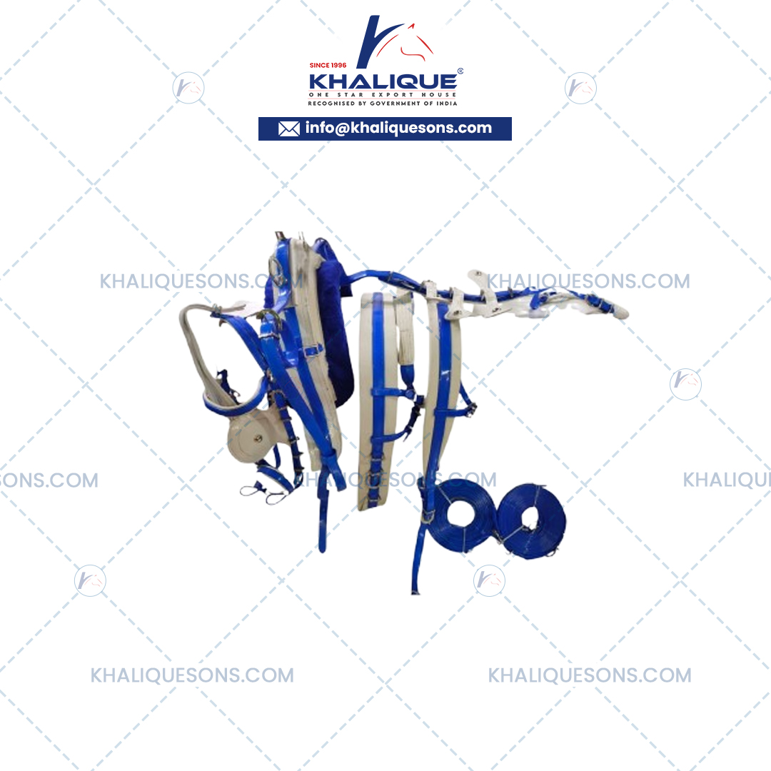 Horse Harness Set Exporter In Korea