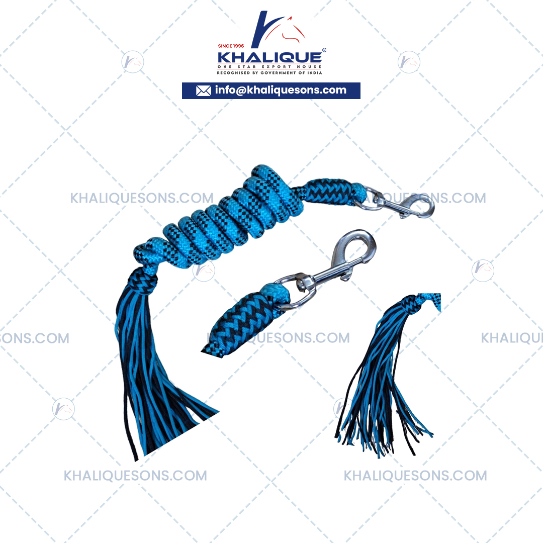 Leads with Snap Exporter In Korea