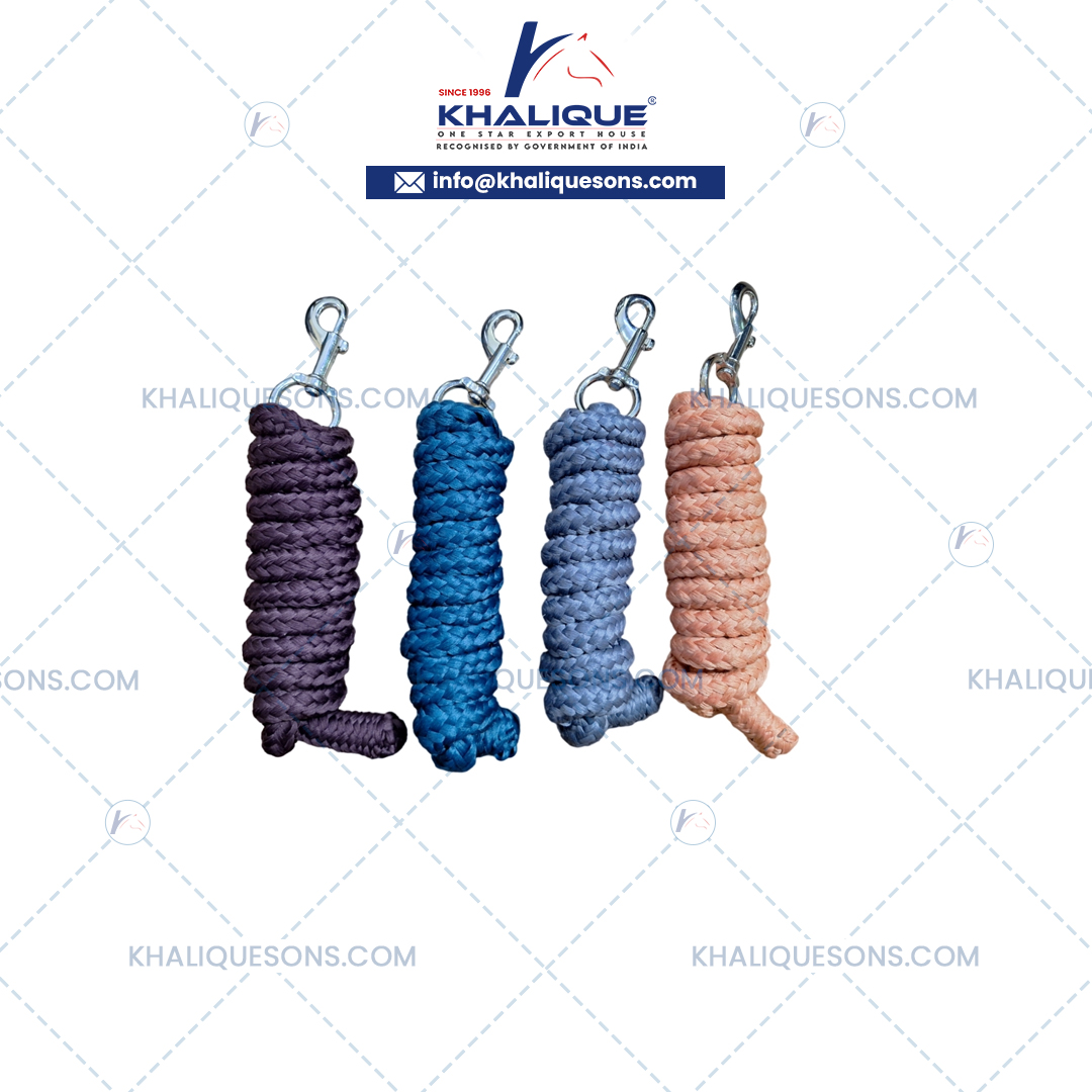 Leads with Snap Exporter In Korea