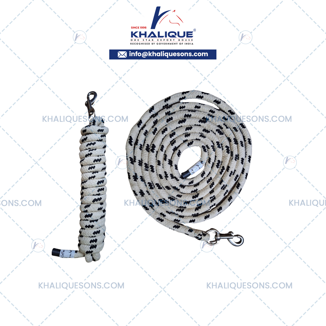 Leads with Snap Exporter In Korea