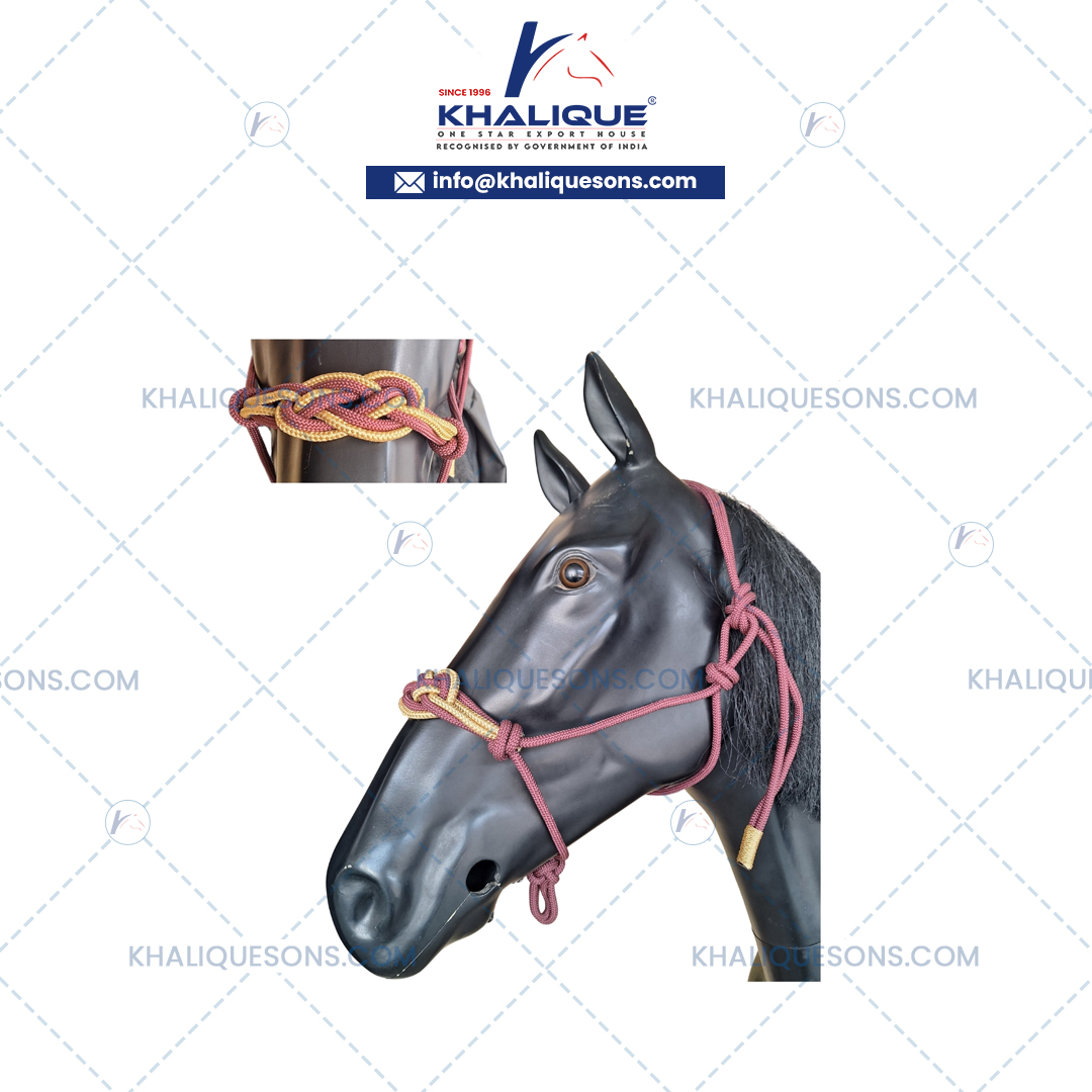 Horse Rope Halters Exporter In Korea