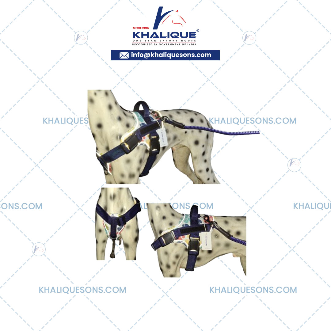 Leather Dog Harness Exporter In Korea