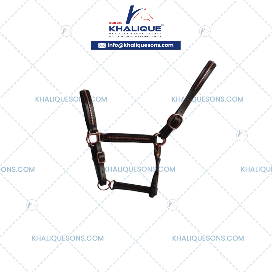 Leather Cords Exporter In Korea