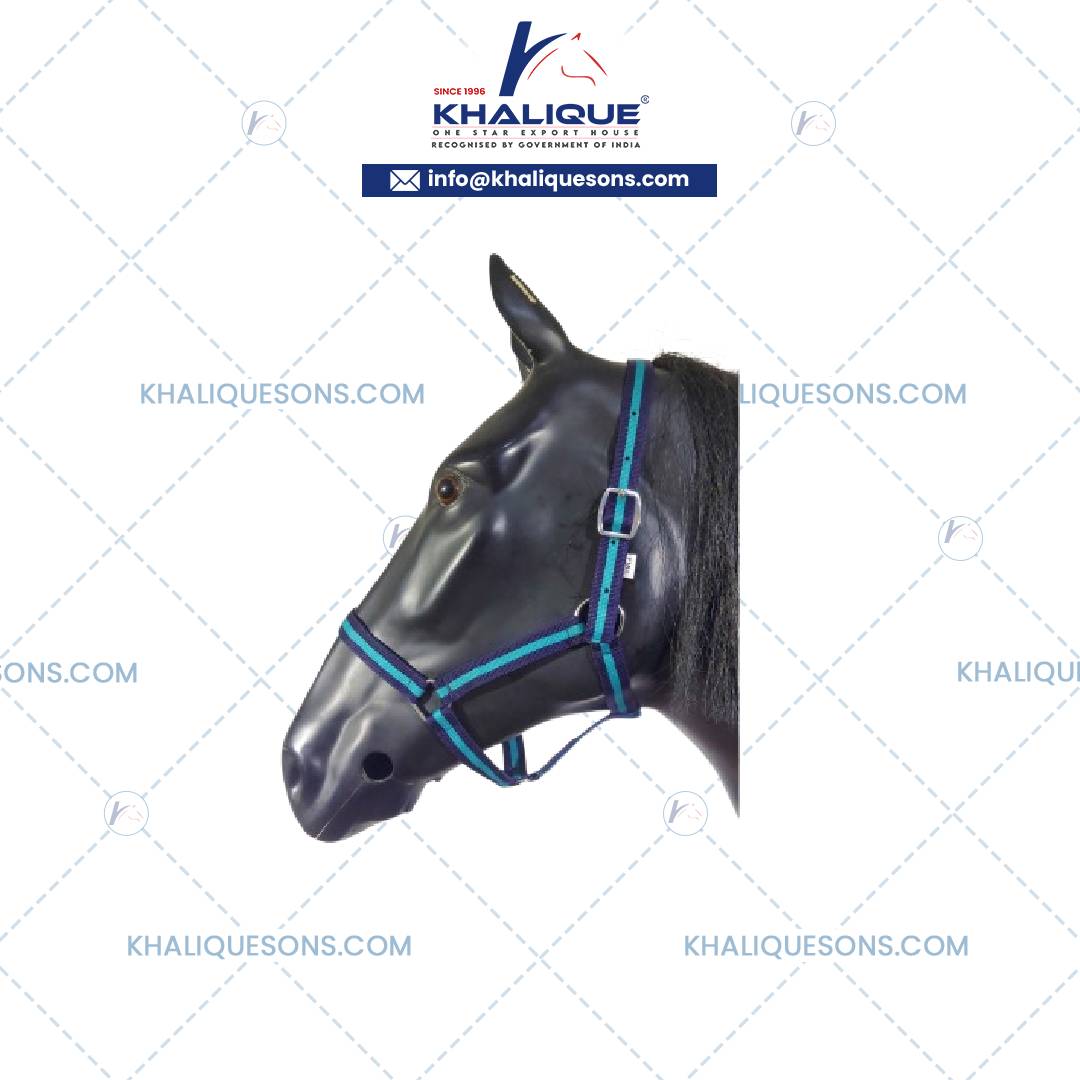 Mexican Horse Bridles Exporter In Korea
