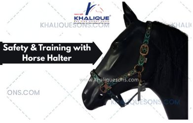 Why a Horse Halter is Essential for Training & Horse Safety