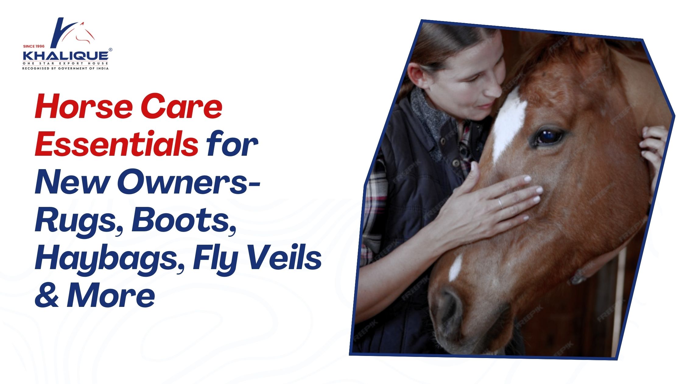 Horse Care Essentials for New Owners: Rugs, Boots, Haybags, Fly Veils & More