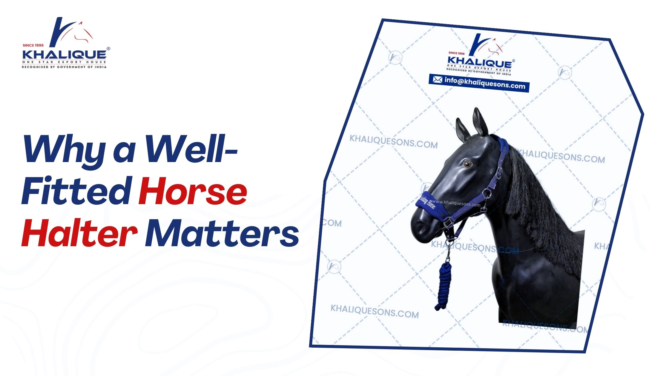 Why a Well-Fitted Horse Halter Matters Why a Well-Fitted Horse Halter Matters
