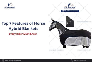 Top 7 Features of Horse Hybrid Blankets Every Rider Must Know