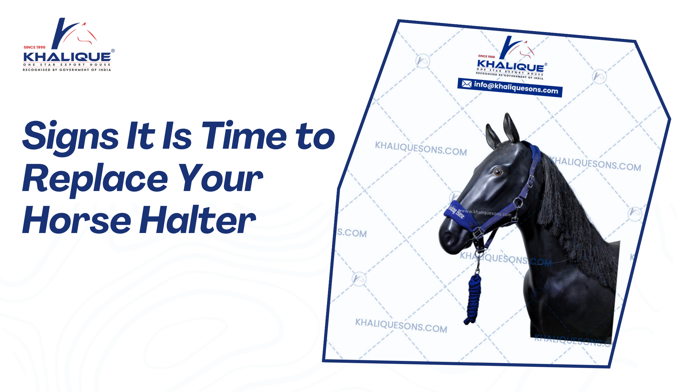 Signs It Is Time to Replace Your Horse Halter