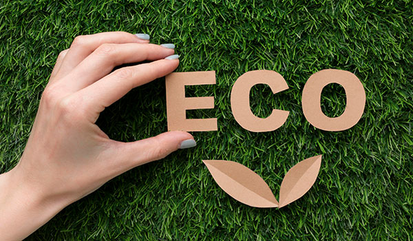 Why Sustainability in Equestrian and Pet Product Manufacturing Matters