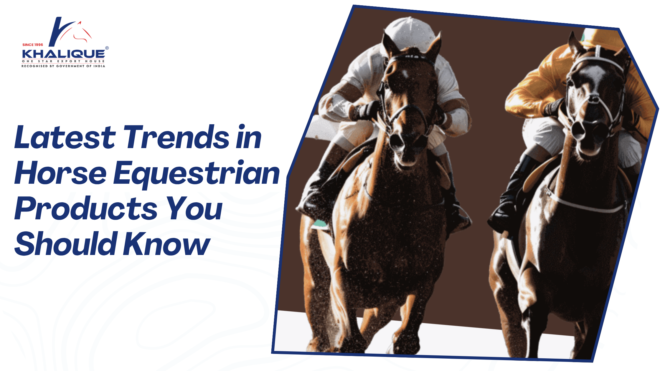 Latest Trends in Horse Equestrian Products You Should Know