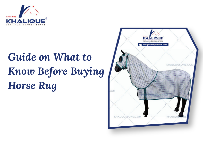 Guide on What to Know Before Buying Horse Rug