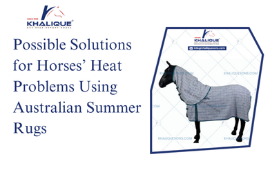 Possible Solutions for Horses’ Heat Problems Using Australian Summer Rugs